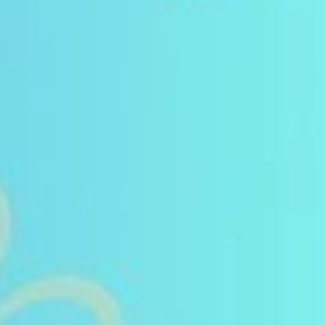 Meet your Posher, Maya